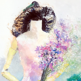 ���̺��ʡ���̲�