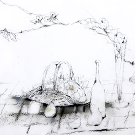 ���̺��ʡ���̲�